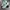 NEW BALANCE 1906R GREEN photo 6