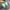 NEW BALANCE 1906R GREEN photo 5
