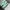 NEW BALANCE 1906R GREEN photo 2