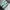 NEW BALANCE 1906R GREEN