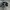 ADIDAS BALI ISLAND BLACK WHITE photo 2