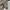Burberry Luxury Casual Blouse Wanita multicolor photo 8
