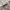 Burberry Luxury Casual Blouse Wanita multicolor photo 5