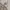 Burberry Luxury Casual Blouse Wanita multicolor photo 7