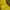 Thenorthface fivepanel trailrun yellow photo 3