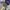 Oakley metal logo truker olive green photo 1