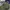 Oakley metal logo truker olive green photo 3