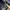 Oakley metal logo truker olive green photo 6