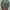 Asics Novablast 5 Blue Teal photo 5