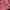 Kaos Outdoor Millet Baselayer Pink Brown Gunung Hiking Trekk photo 4