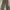 Fartimento cargo pants photo 6