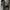 Bally Luxury Casual Sneakers Pria black gray photo 4