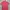 polo shirt basic house  photo 1
