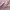 Jaket Pullover Hoodie STL Basic Lilac Second L Oversize photo 5