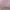 Jaket Pullover Hoodie STL Basic Lilac Second L Oversize photo 4