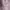 Jaket Pullover Hoodie STL Basic Lilac Second L Oversize photo 7