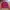 Field core warm padded jacket photo 2