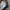 Streetwear Gorpcore Windbreaker Pria cream photo 4