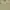 Japanese brand Vintage Formal shirt Pria khaki photo 4