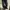 Casual Casual shoe Pria black photo 5