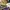 Casual Casual shoe Pria purple photo 4