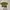 et cetera olive green shirt photo 2