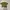 Et Cetera Olive Green Shirt