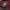 Casual Casual shoe Pria burgundy photo 2