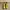 Adidas Sportswear Sneakers Pria Yellow