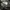 Japanese brand Streetwear Formal shirt Pria multicolor photo 6