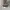 Yeezy boost  350  photo 6