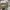 Yeezy boost  350  photo 7