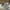 Yeezy boost  350  photo 3