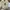 Yeezy boost  350  photo 5