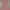 Zalora Toga Fiy And Flare Dress In Pink