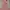 Zalora Toga Fiy And Flare Dress In Pink
