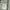Japanese brand Streetwear Casual shirt Pria multicolor photo 4