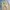 Hum wide balloon pants beige photo 2