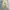 Hum wide balloon pants beige photo 3
