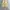 Hum wide balloon pants beige photo 1