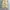 Hum Wide Balloon Pants Beige