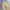 Hum wide balloon pants beige photo 4