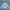 Adidas Streetwear Sportswear Sweatshirt Pria blue photo 2