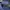 Guess  photo 5