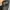 Sportswear Windbreaker Pria black gray photo 7