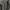 Sportswear Windbreaker Pria black gray photo 4
