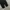 Jemut scone wide balloon pants black photo 5