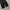 Poten baggy ballon pants photo 5