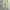 Whoau california wide balloon pants photo 3