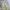 Whoau california wide balloon pants photo 4